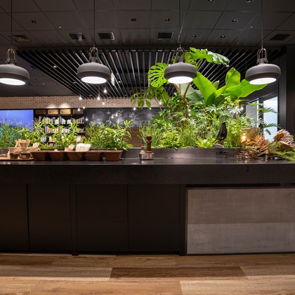 sutto imageが撮影した「:albumName」の写真