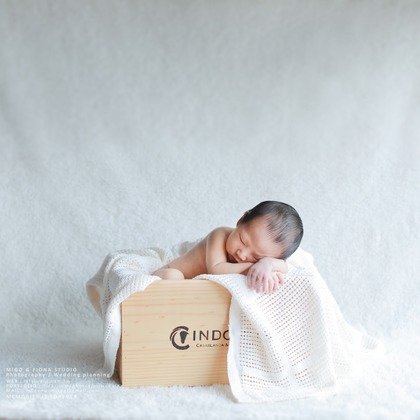 MF STUDIO Migoが撮影した「:albumName」の写真