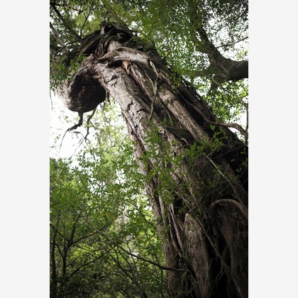 舘　典志が撮影したその他/イベント/スナップ撮影の写真