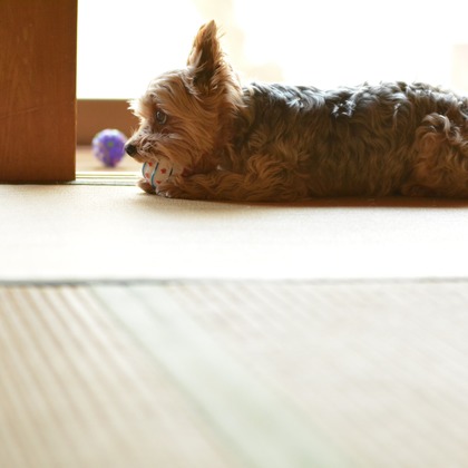 大熊和輝が撮影したウェディングや家族、ビジネスの写真