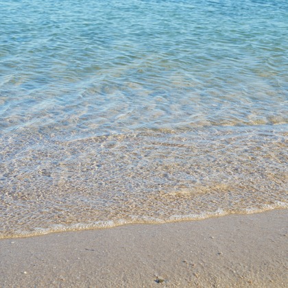 加藤が出張撮影した「下書き」の家族写真