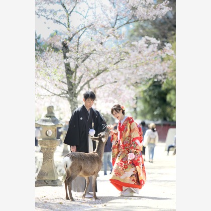 KIKIウェディングが撮影した「:albumName」の写真