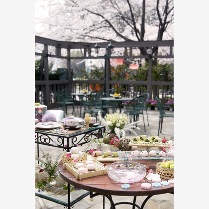 十時写真事務所が撮影した「:albumName」の写真