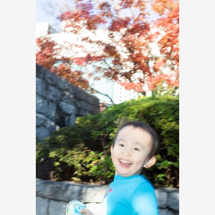 NOJYO高木俊幸写真事務所が撮影した「:albumName」の写真
