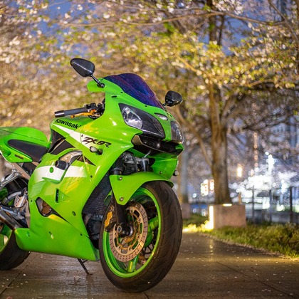 酒井 真於が撮影したその他の写真