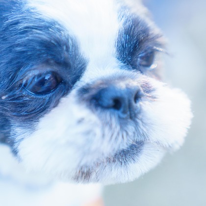 牧野 政宏が撮影したウェディングや家族、ビジネスの写真