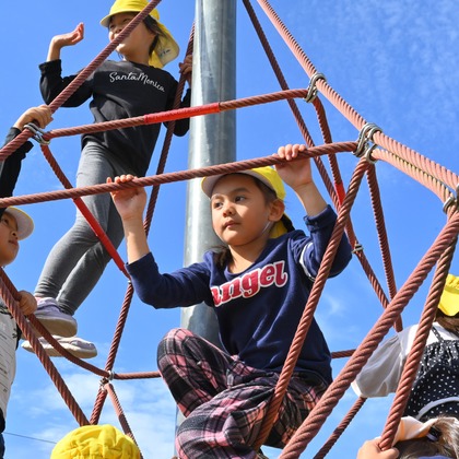 杉野優介が撮影した「:albumName」の写真