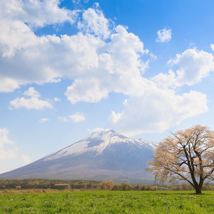 kentarou shimizuが撮影した人物撮影の写真