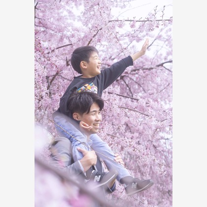 たきざわ めぐみが出張撮影した「入学式」の家族写真