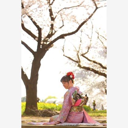 Photographer  Tomoが撮影した「:albumName」の写真