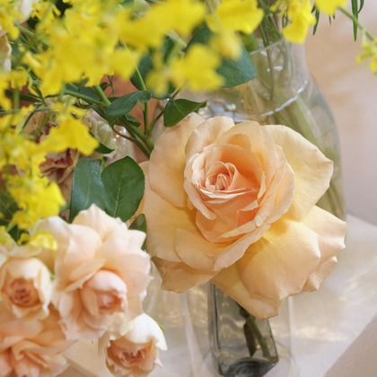 濱田茉里が撮影した商品/物撮りの写真