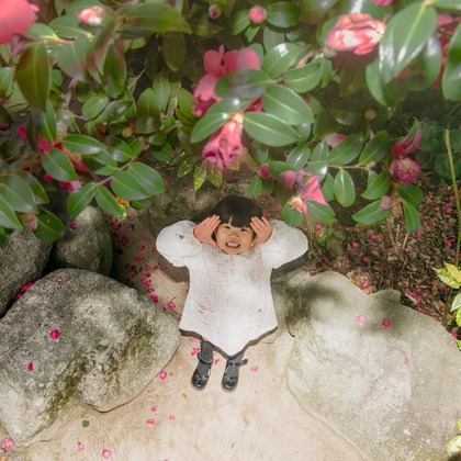 岩坪眞一郎が出張撮影した植物, 雲, 空が写った七五三フォトの写真