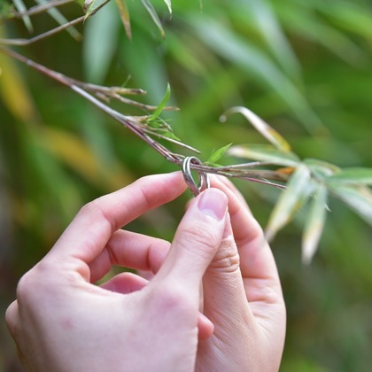 Photo of :albumName taken by Kiki photo works