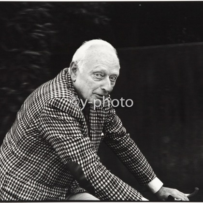 y-photoが撮影した「:albumName」の写真