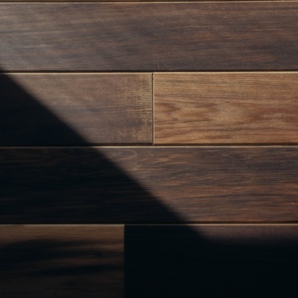 菊村夏水が撮影した「:albumName」の写真