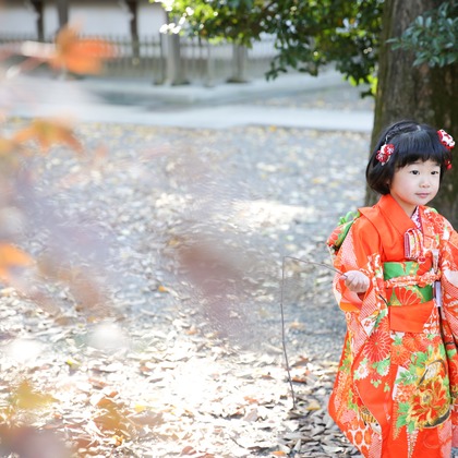 KOMOREBI Photo.　大如　耕平が撮影した七五三フォトの写真