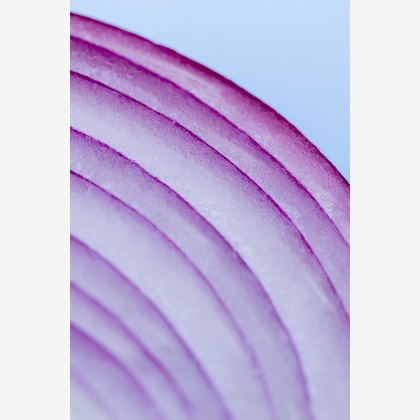 Hiroが撮影した「スタジオ、出張撮影」の写真