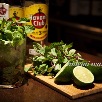 Silver Back Studioが撮影した「:albumName」の写真