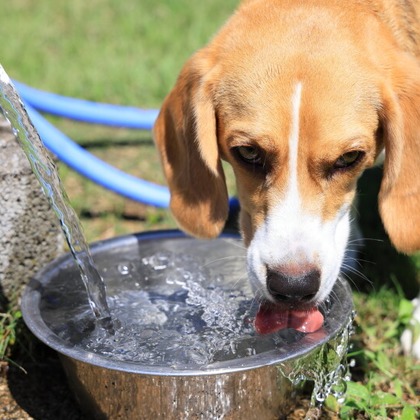 CREAMYが撮影した「:albumName」の写真