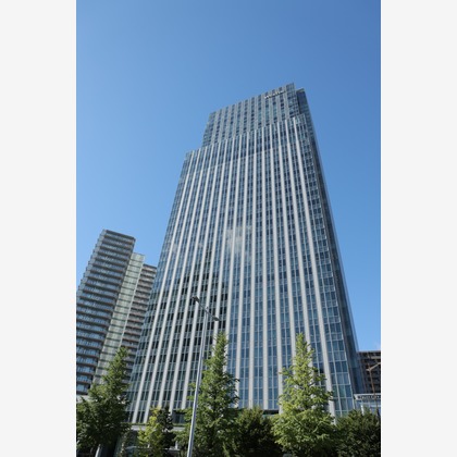 横山 菜々美が撮影した「:albumName」の写真