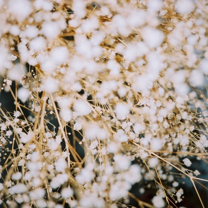 磯谷亮太が撮影したその他の写真