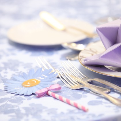 Photo of :albumName taken by Kan Suzuki  photography