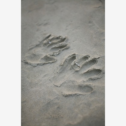 HOTEL GREGES（オテルグレージュ）が撮影したウェディングや家族、ビジネスの写真