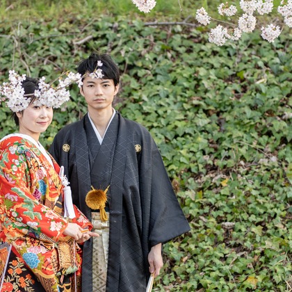 Photo of Kyoto　Prewedding photo with cherryblossom taken by saruco(Hisashi Iwasaki)