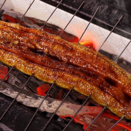 森安　照が撮影した「:albumName」の写真