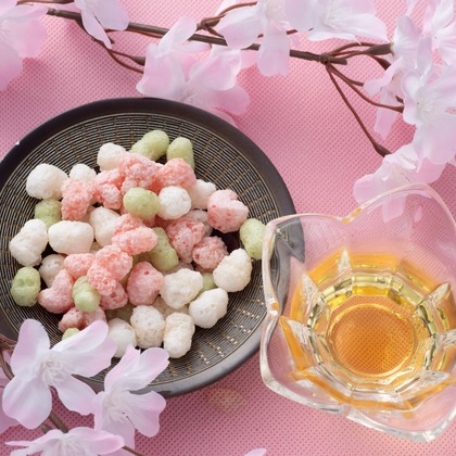 写真屋ごんちゃんが撮影した「:albumName」の写真