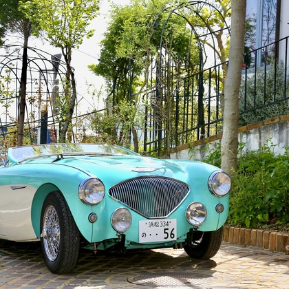 TSD officeが撮影した「:albumName」の写真