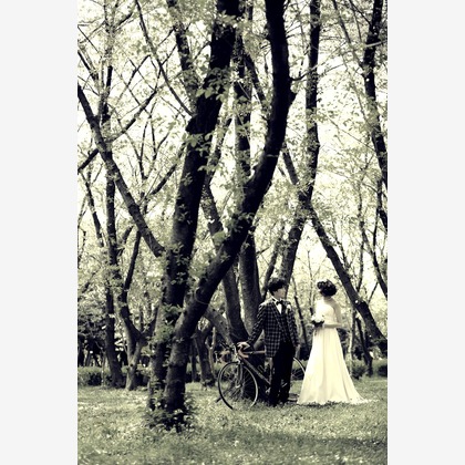 Photo of :albumName taken by Studio 8