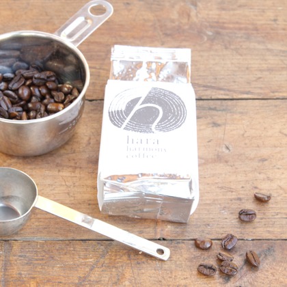 樋上　将太が撮影した「:albumName」の写真