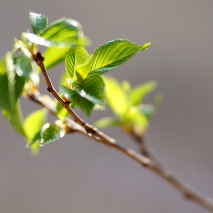 出張撮影のメモリーズが撮影した「:albumName」の写真