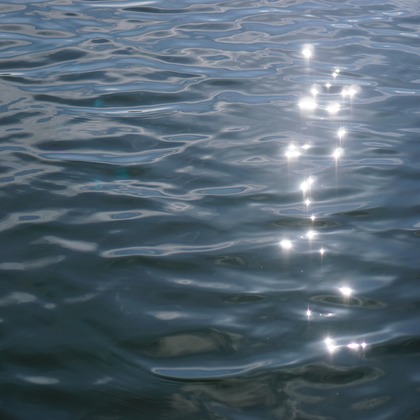 出張撮影のメモリーズが撮影した「:albumName」の写真