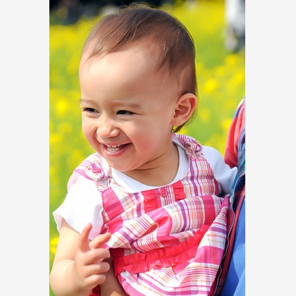 （有）カラーフィールドが撮影した「:albumName」の写真