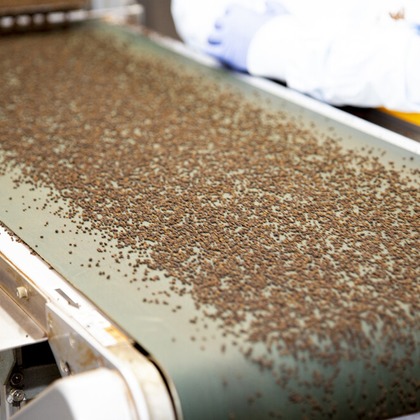 株式会社SANYO-CYP studioUPが撮影した「:albumName」の写真