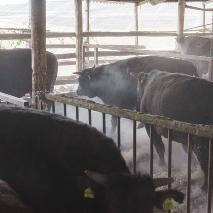 studio cactusが撮影した「:albumName」の写真