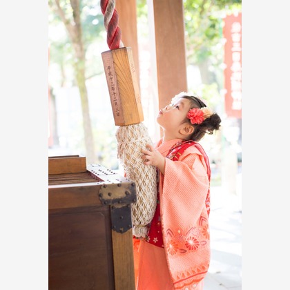 ssphotoが撮影した「:albumName」の写真