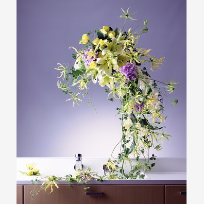 株式会社スタジオカールが撮影した「:albumName」の写真