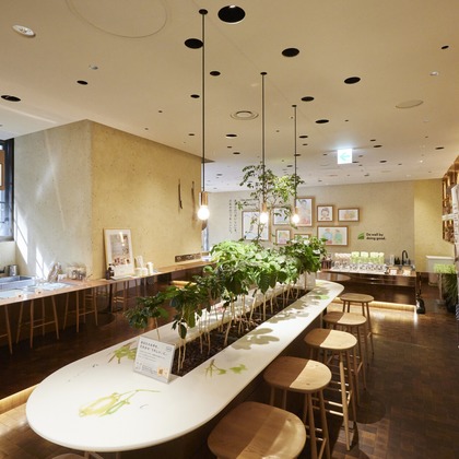 bluevalleyが撮影したウェディングや家族、ビジネスの写真