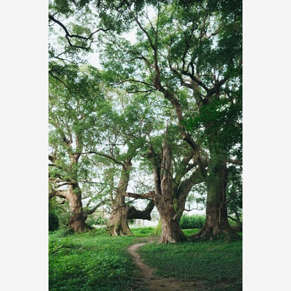 大坪幹武が撮影したウェディングや家族、ビジネスの写真