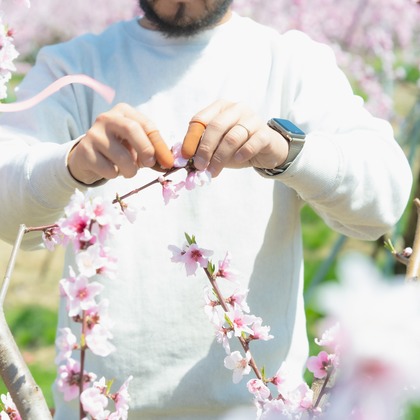 umimoyamamoworksが撮影した「:albumName」の写真