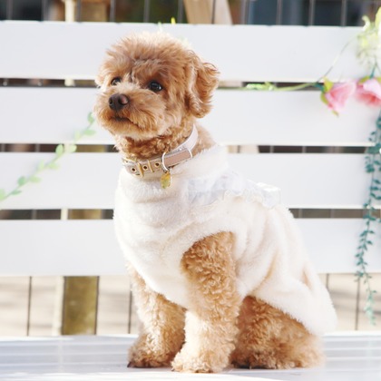 外川博己が撮影したその他の写真