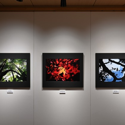 あまかど スタジオが撮影した店舗/オフィス/サロン撮影の写真