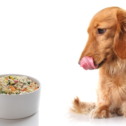 踊るカメラマンAKIRAが撮影したウェディングや家族、ビジネスの写真