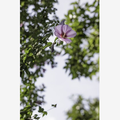 内山慎也が撮影した商品/物撮りの写真