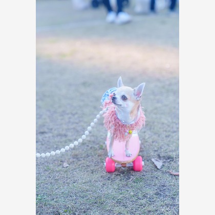 牧野 政宏が撮影したウェディングや家族、ビジネスの写真