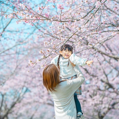 Tempstendreが撮影した「:albumName」の写真