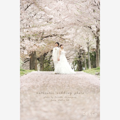 STUDIO GIROUX (下園啓祐)が撮影した「フォトギャラリー」の写真